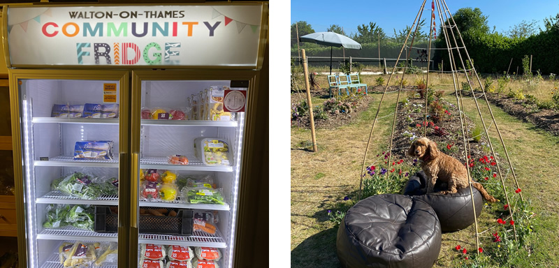 Elmbridge Community Eco Hub community fridge and garden